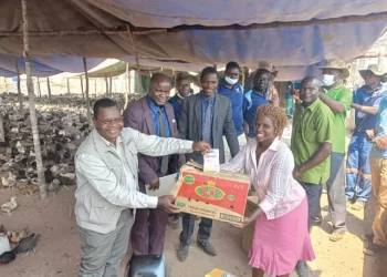 Rural poultry scheme makes a difference