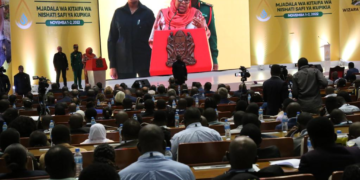 Tanzanian president advocates use of clean energy for cooking