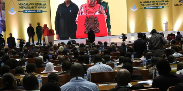 Tanzanian president advocates use of clean energy for cooking