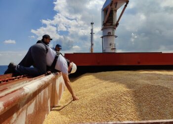 Russia welcome back into grain export deal: UN official