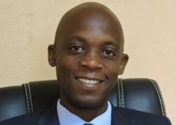 Cyber terrorists target ZEC