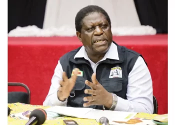 Zanu PF working on primary elections roadmap