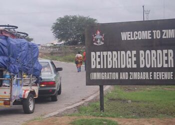 Increased trade, festive season preps put pressure on border posts