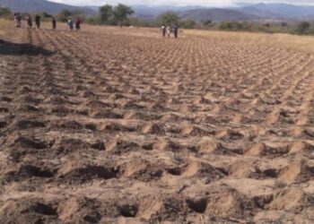 Govt says 2022/23 farming season progressing well