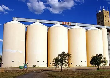 GMB takes delivery of US$25m, $30bn wheat