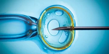 4 200 babies born through IVF