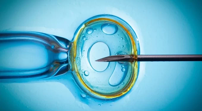 4 200 babies born through IVF
