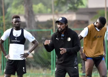 Historic: All African World Cup-bound teams to be handled by local coaches