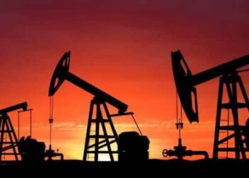 Zim edges closer to oil, gas discovery