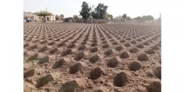 Start planting in three weeks: Government