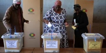 Driver’s licence not official ID for voting