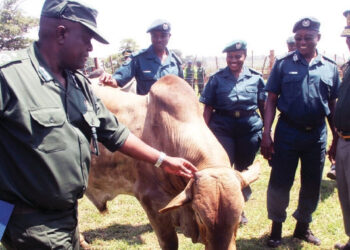 Neighbours strengthen ties with ZPCS