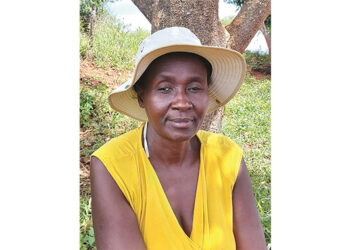 Village heroines: Insiza paralegals pursue justice for rural folk