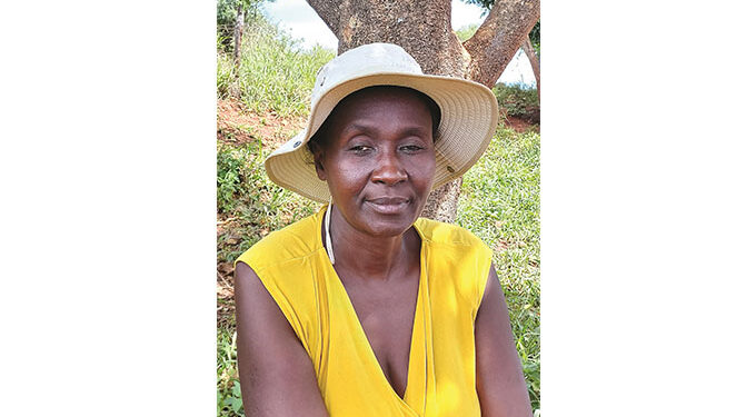 Village heroines: Insiza paralegals pursue justice for rural folk