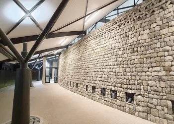 Immigration nabs 2 000 criminals at Beitbridge border