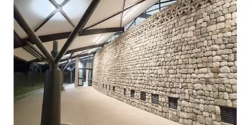 Immigration nabs 2 000 criminals at Beitbridge border