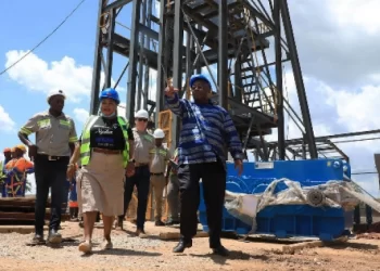 Egyptian investors eye key economic sectors