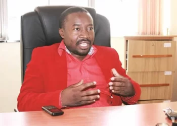 Massive Harare land looting exposed