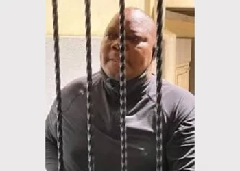 Sikhala loses another bail bid