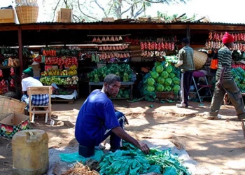 Kadoma traders’ market reopens