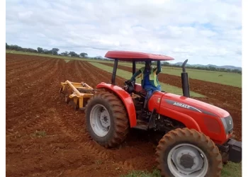 Makwe farmers set to maximise production