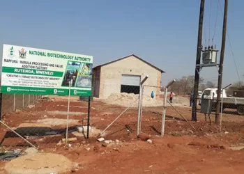 Researchers urged to support NDS1