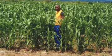 Masvingo on path to unrestrained growth