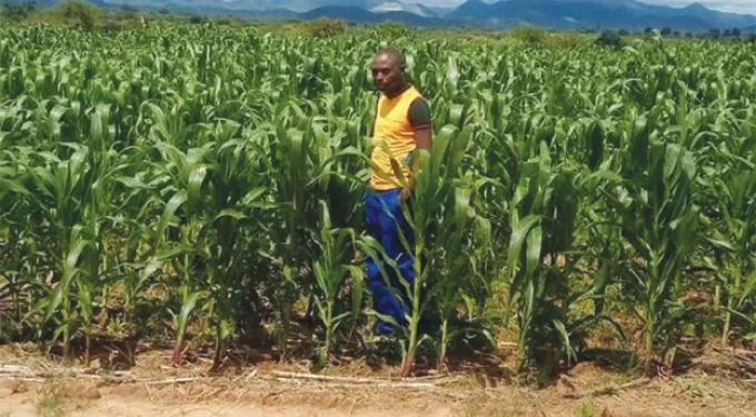 Masvingo on path to unrestrained growth