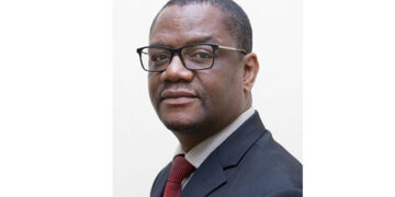 Over 5,1m Pfumvudza plots prepared