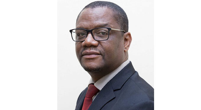 Over 5,1m Pfumvudza plots prepared