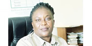 EMA makes progress, restores 250 000ha wetlands