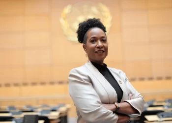 Zim a shining African star: UN