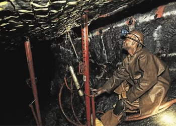 Platinum projects to put Zim on world map