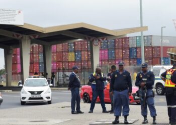 S. African police in full deployment for festive season
