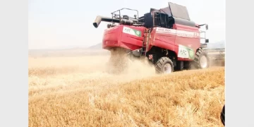 Wheat harvesting tails off, 326 166 tonnes reaped