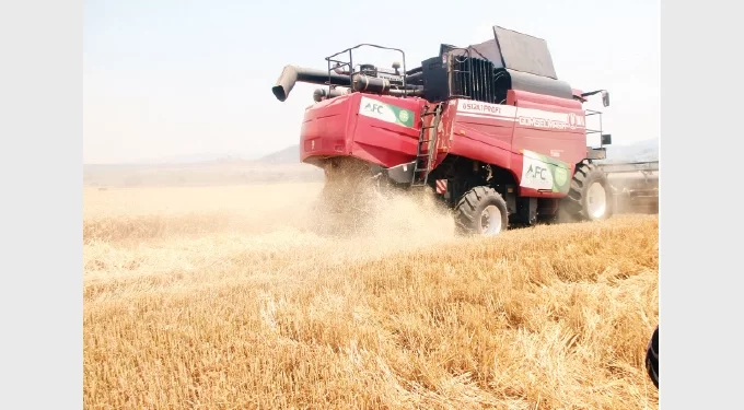 Wheat harvesting tails off, 326 166 tonnes reaped