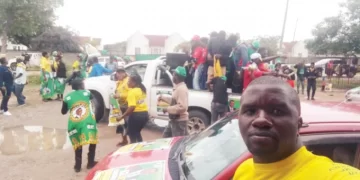 Zanu PF makes bold statement ahead of 2023 harmonised elections