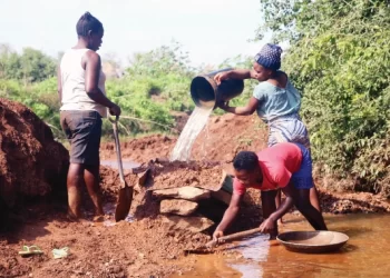 ‘Zim economy now insulated against shocks’