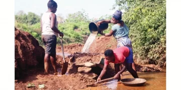 ‘Zim economy now insulated against shocks’
