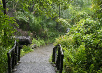 ZimParks reverses entry fees increase