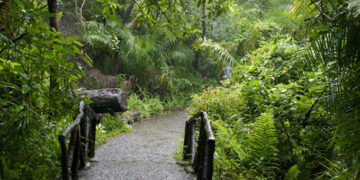 ZimParks reverses entry fees increase