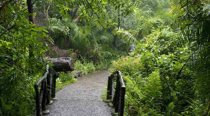 ZimParks reverses entry fees increase