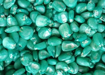 Unregistered agro-dealers closed, as farmers count losses