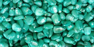 Unregistered agro-dealers closed, as farmers count losses