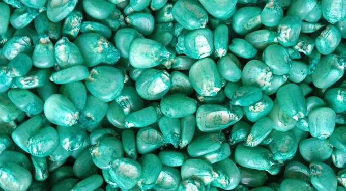 Unregistered agro-dealers closed, as farmers count losses