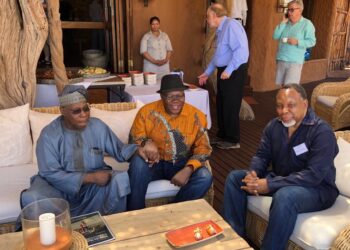 Biti, Obasanjo, Motlanthe & Oppenheimer: What’s wrong with this picture?