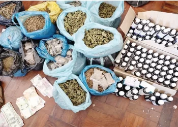 Bulawayo’s drug havens thrive despite police raids