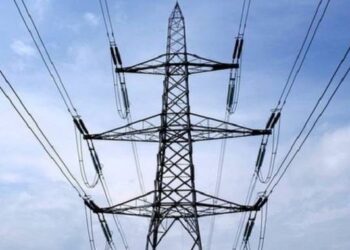 Govt mobilises resources for power imports
