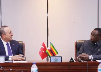 Türkiye targets huge investments in Zim