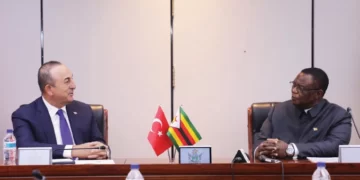 Türkiye targets huge investments in Zim